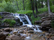 Tonto National Forest