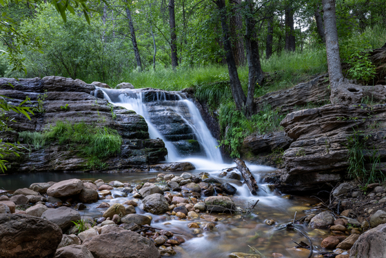 Tonto National Forest