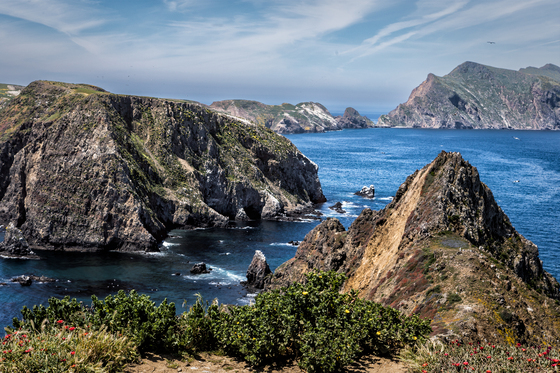 Channel Islands National Park