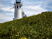 Channel Islands National Park
