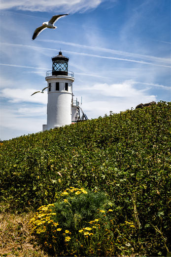 Channel Islands National Park