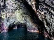 Channel Islands National Park