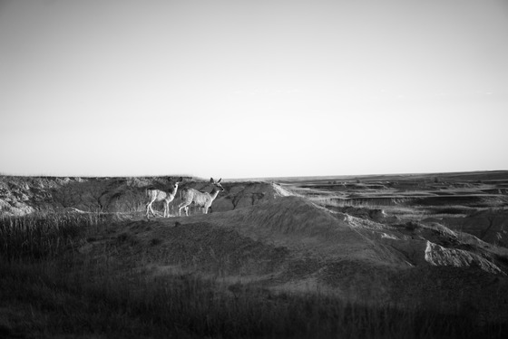 Badlands National Park