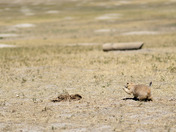 Badlands National Park