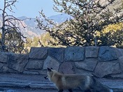 Rocky Mountain National Park