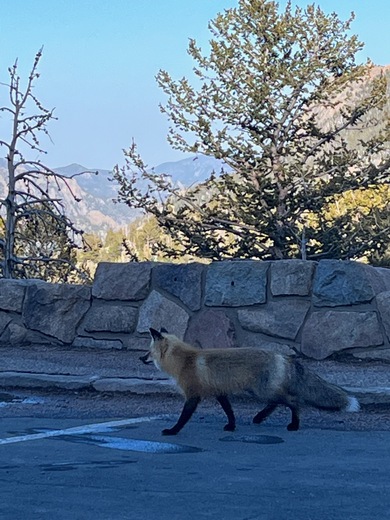 Rocky Mountain National Park