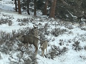 Rocky Mountain National Park