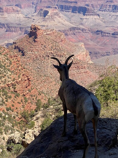 Grand Canyon National Park