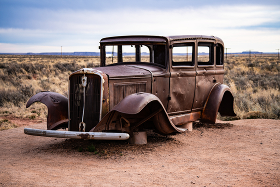 Petrified Forest National Park