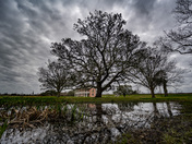 Jean Lafitte National Historic Park - Chalmette Battlefeild