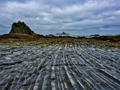Olympic National Park
