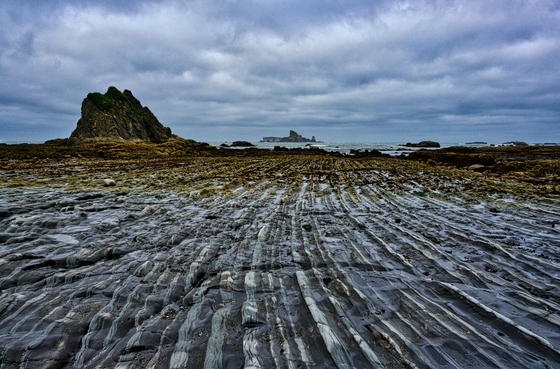 Olympic National Park