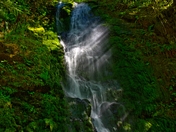 Olympic National Park