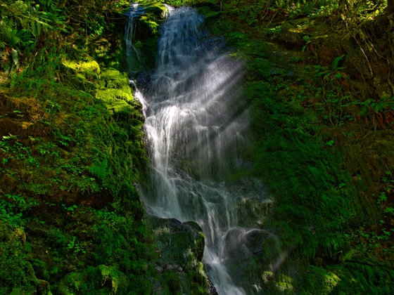 Olympic National Park