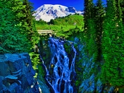 Mt. Rainier National Park