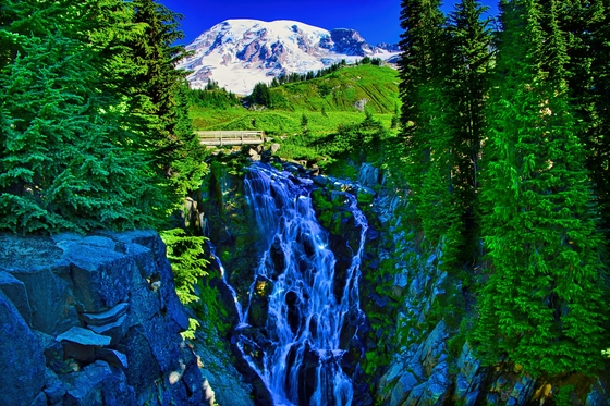 Mt. Rainier National Park