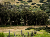 Channel Islands National Park