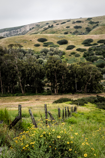 Channel Islands National Park