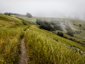 Channel Islands National Park