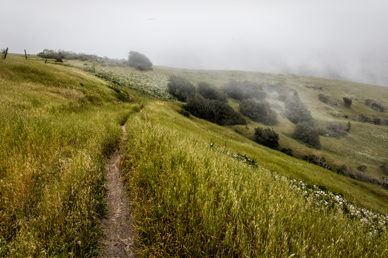 Channel Islands National Park