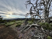 Craters of the Moon National Monument and Preserve