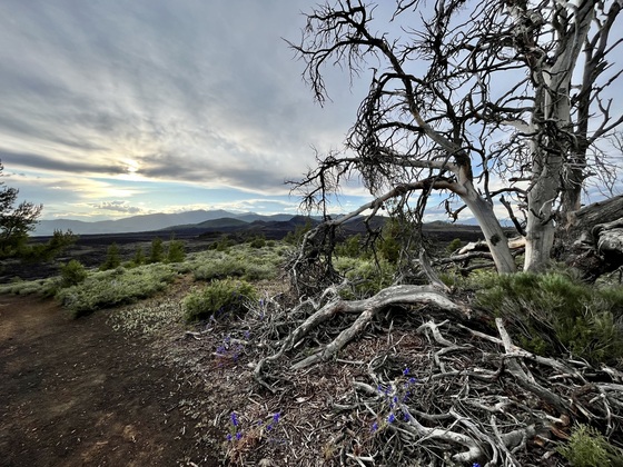 Craters of the Moon National Monument and Preserve