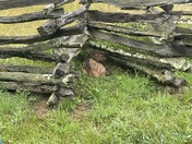 Great Smoky Mountains National Park