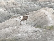 Badland National Park