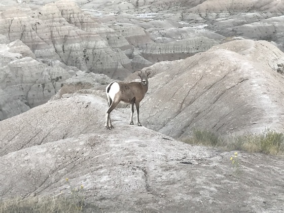 Badland National Park