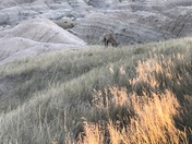 Badlands National Park
