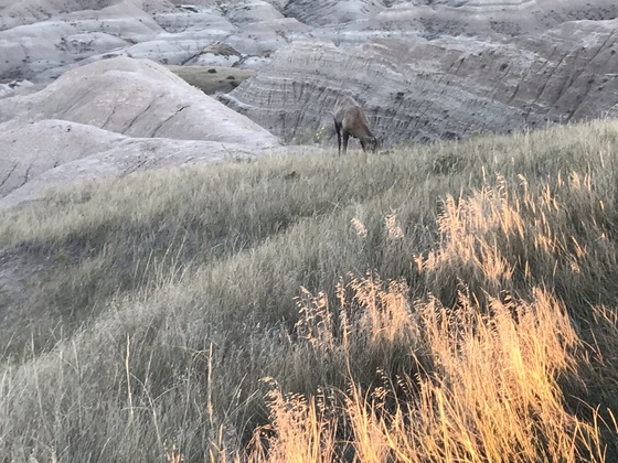 Badlands National Park