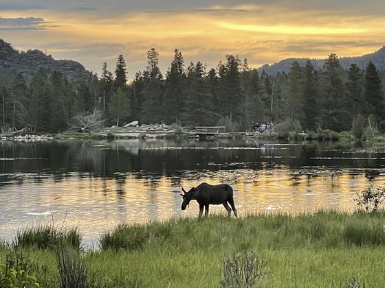 Rocky Mountain National Park