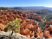 Bryce National Park