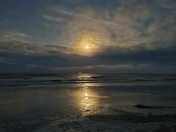 Cumberland Island National Seashore 