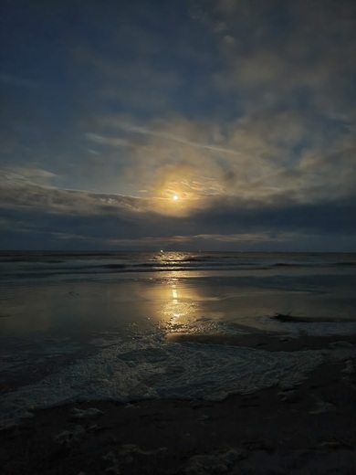 Cumberland Island National Seashore 