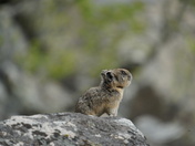 Grand Teton National Park