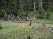 Rocky Mountain National Park