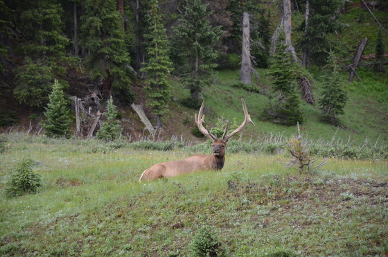 Rocky Mountain National Park