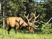 Grand Teton National Park