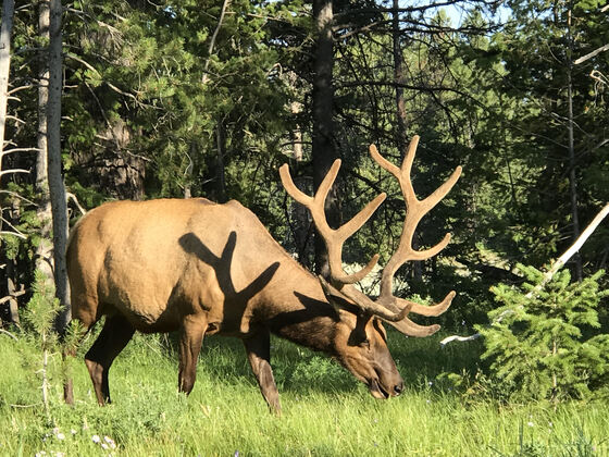 Grand Teton National Park