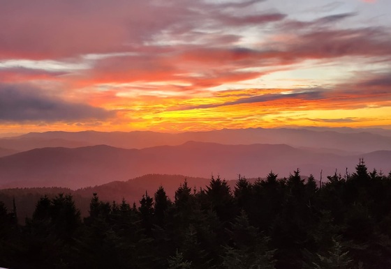 Great Smoky Mountains National Park