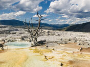 Yellowstone National Park