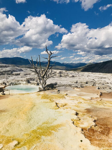 Yellowstone National Park