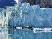 Glacier Bay National Park 