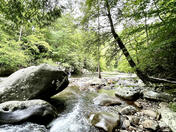 Smoky Mountains National Park