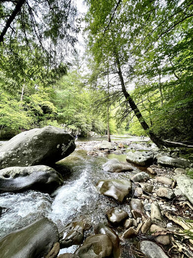 Smoky Mountains National Park