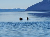 Glacier Bay National Park 