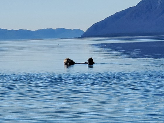 Glacier Bay National Park 