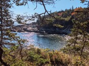 Acadia National Park 