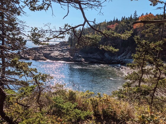 Acadia National Park 